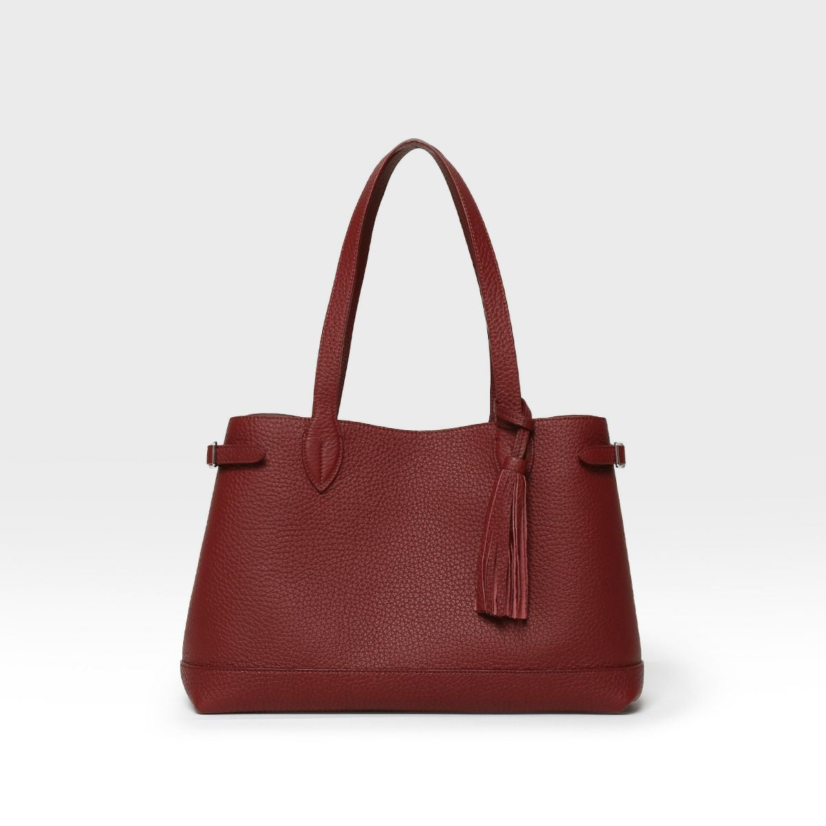 ロドスミニ2の正面（ボルドー）